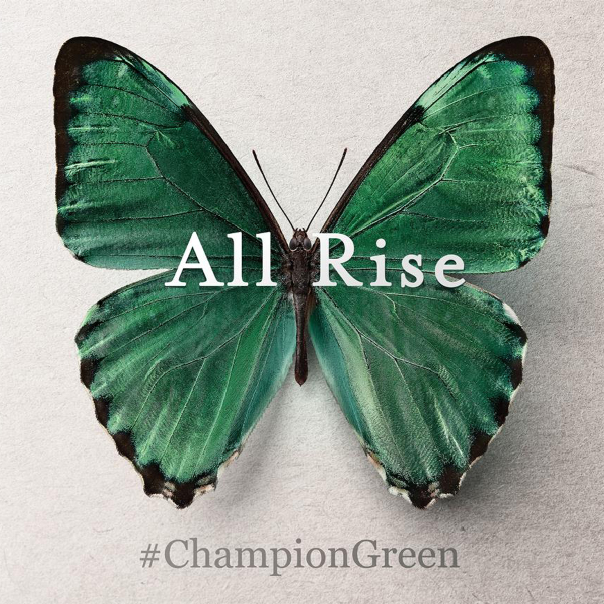 makeitwithwords's tweet photo. We’ve pledged to #SupportLocal and #ChampionGreen. Will you?
If we support each other we all can rise.
Play your part -  pledge your support today at https://t.co/4vQMQfheVO https://t.co/1AcYSrHtho
