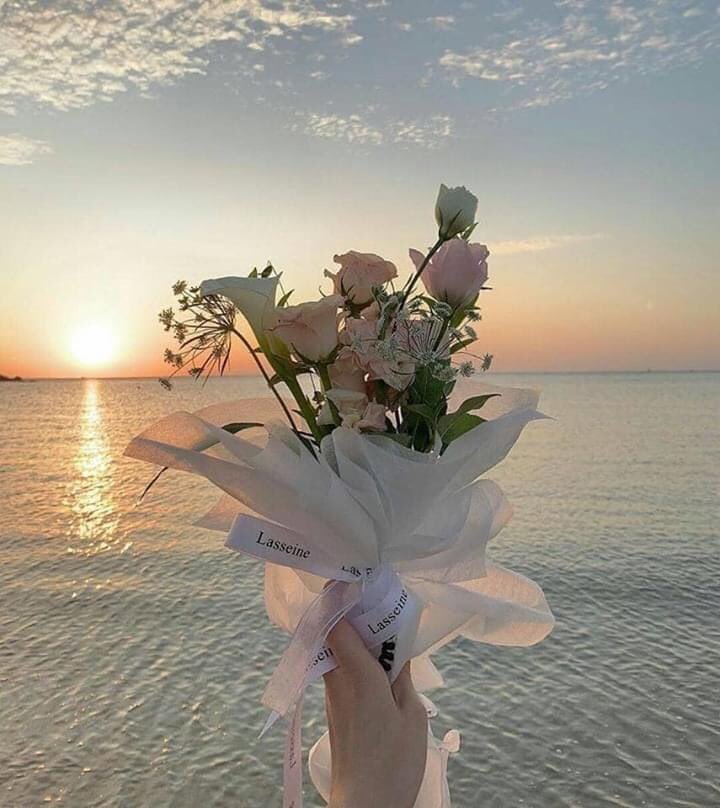 يا رَبِّ سّر خَاطِرِي أَرُحْ قَلْبِي اِشْرَحْ صَدْرِي أَسْعِدْنِي يَا الله
ُ بِمَا هُوَ خَيْرًا لِي مِنْ أُمْنِيَّاتِي وَدَعَوَاتِي 🤲❤