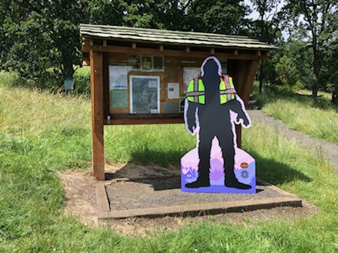 WHERE'S BIGFOOT?
Bigfoot (well, a cardboard stand-up of the hairy fellow) is hiding in #Corvallis this summer, starting July 1 as part of a statewide campaign to promote fire safety. 

Find him in the wild and enter to win some fun prizes!

More info: corvallisoregon.gov/fire/page/bigf…
