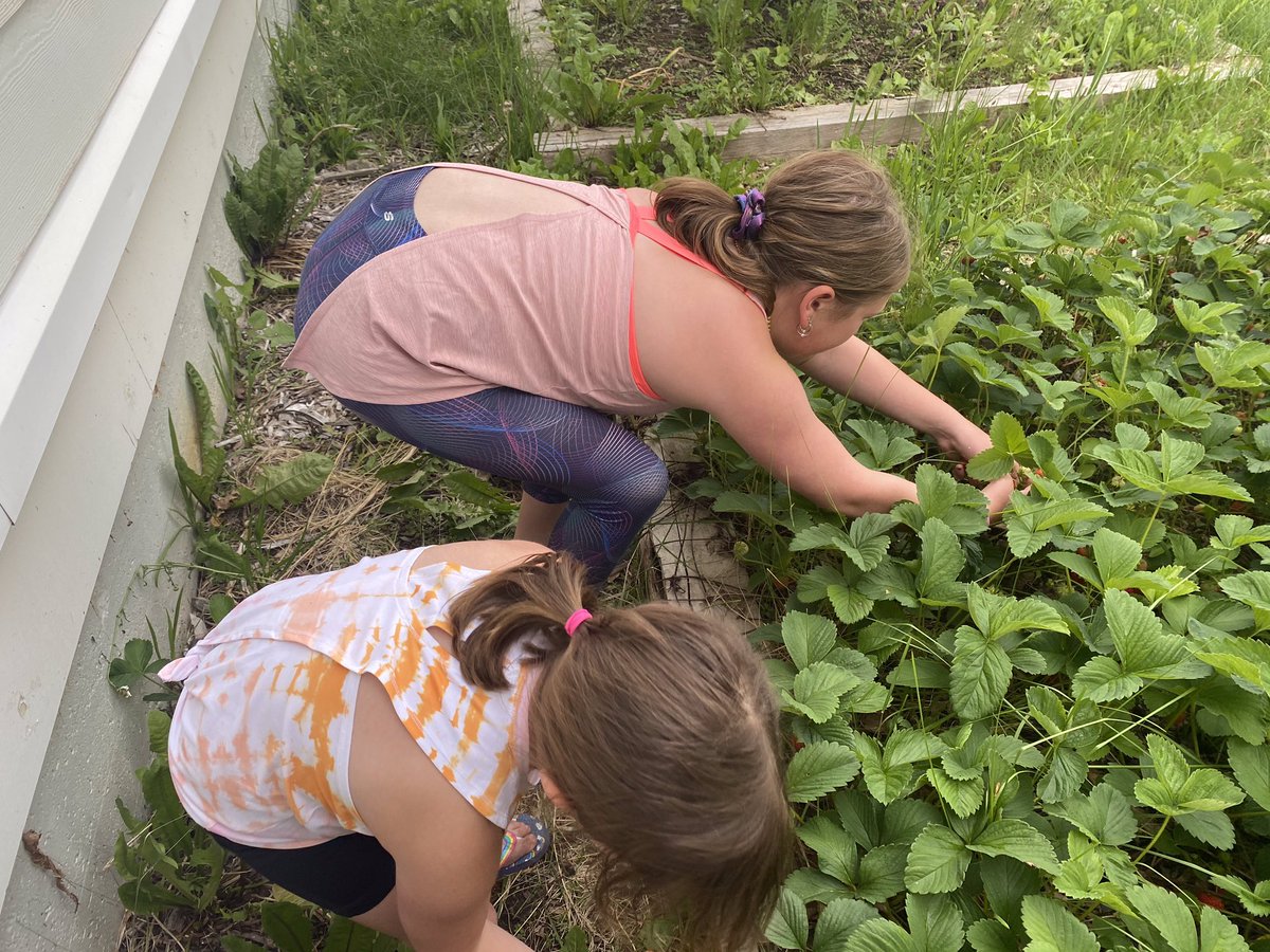 Devon Middle School tweet media