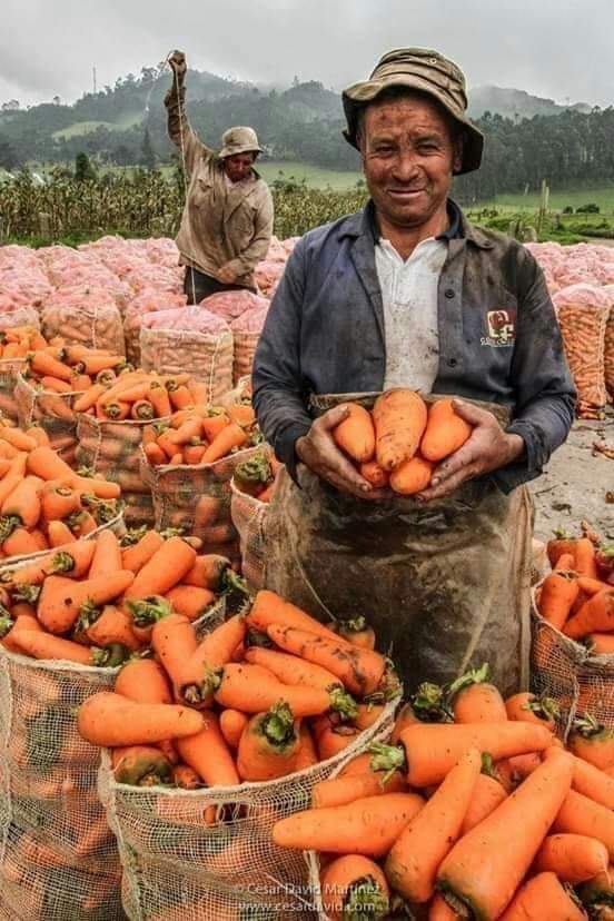 John F. Montes tweet media