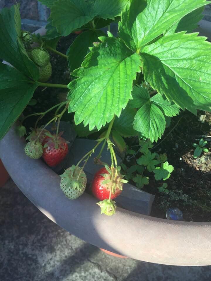 Catherine oliver tweet media