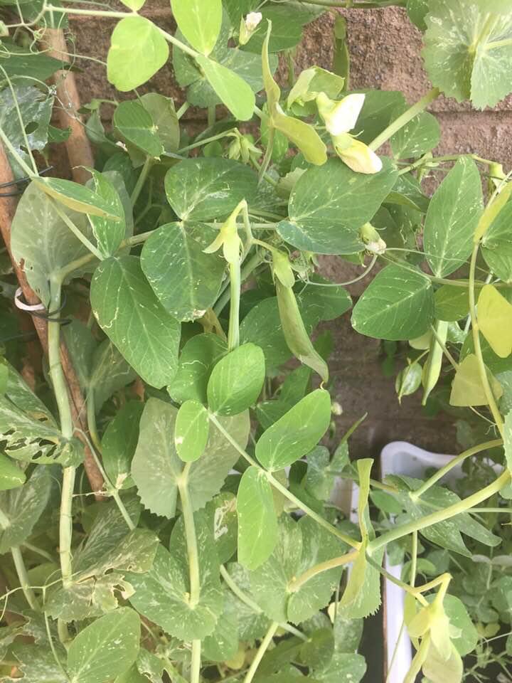 Catherine oliver tweet media