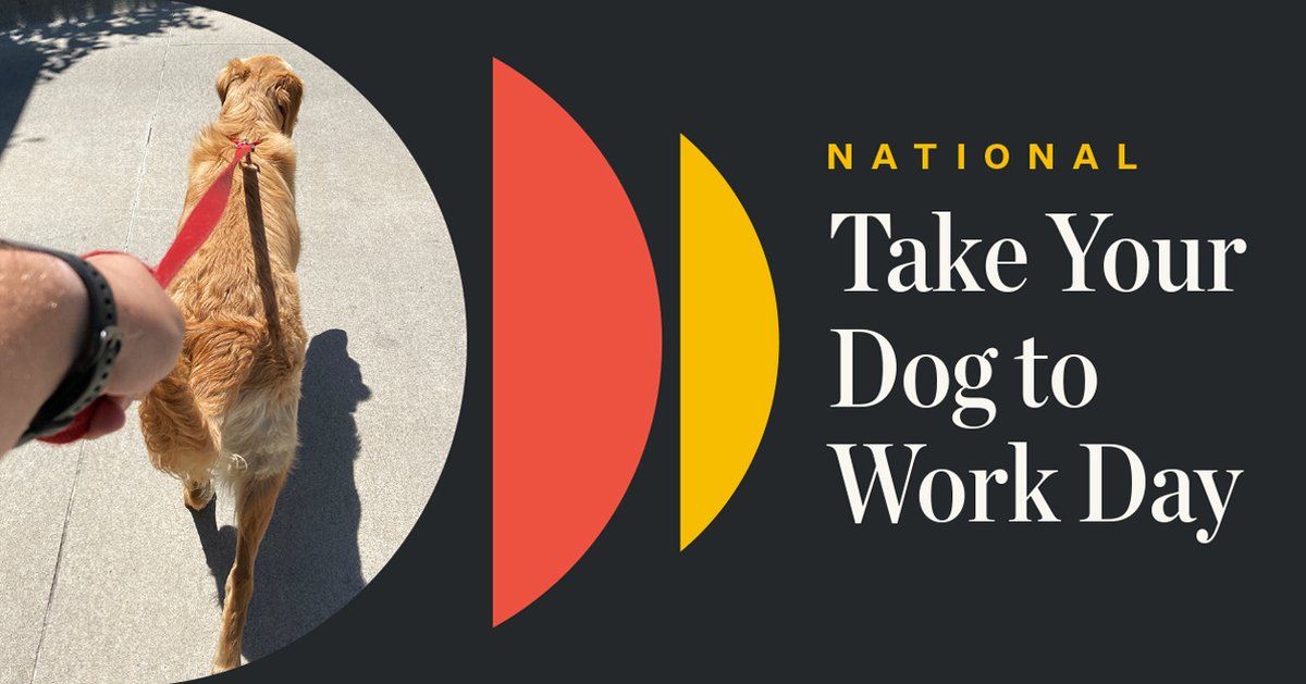 SignalTheory's tweet image. Happy #TakeYourDogToWorkDay to all our @SignalTheory pups. These days they’ve been more like co-workers than pets, and we sure do appreciate having them around. #CaninesofCulture #SignalTheory