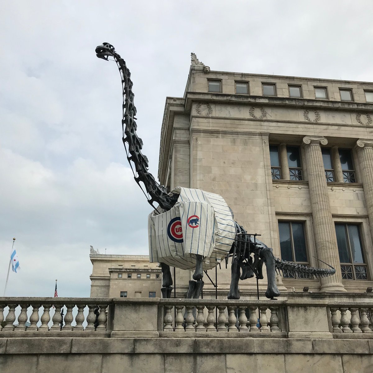 atlasobscura's tweet photo. During the 90s, a mounted skeleton of Brachiosaurus greeted @fieldmuseum visitors in the main hall. Today, an all-weather replica endures Chicago winters and cheers on our sports teams. ⚾️ #WonderFromHome https://t.co/YjKcwq3TkL