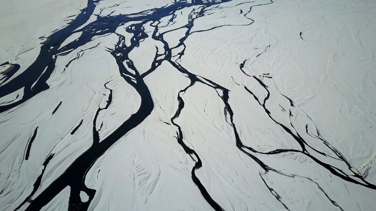 bear_foundation's tweet photo. While most of us in the Northern Hemisphere are enjoying long summer days, some populations in the arctic regions are facing unprecedented high temperatures. The PPBF strives to support education and research around the consequences of climate change in these communities.
#Arctic https://t.co/lez0peT8tn
