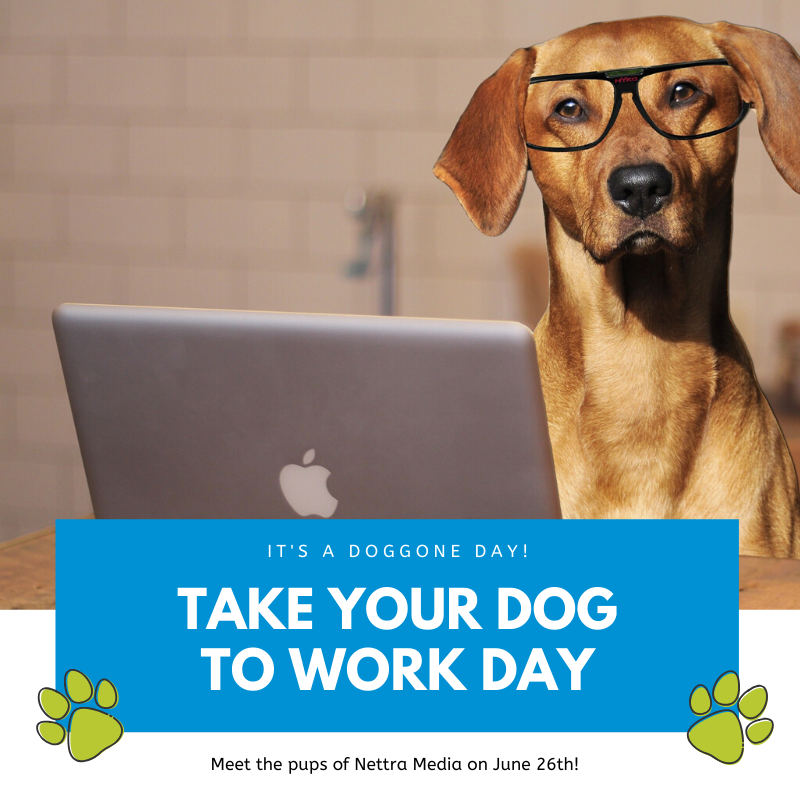 nettramedia's tweet photo. It’s that time of year again—June 26th marks National Take Your Dog to Work Day! #takeyourdogtoworkday Let’s see em’ folks. Leave a photo of your pooch in the comments 🐶 🐩 🦴 https://t.co/dp4MNz2wtU
