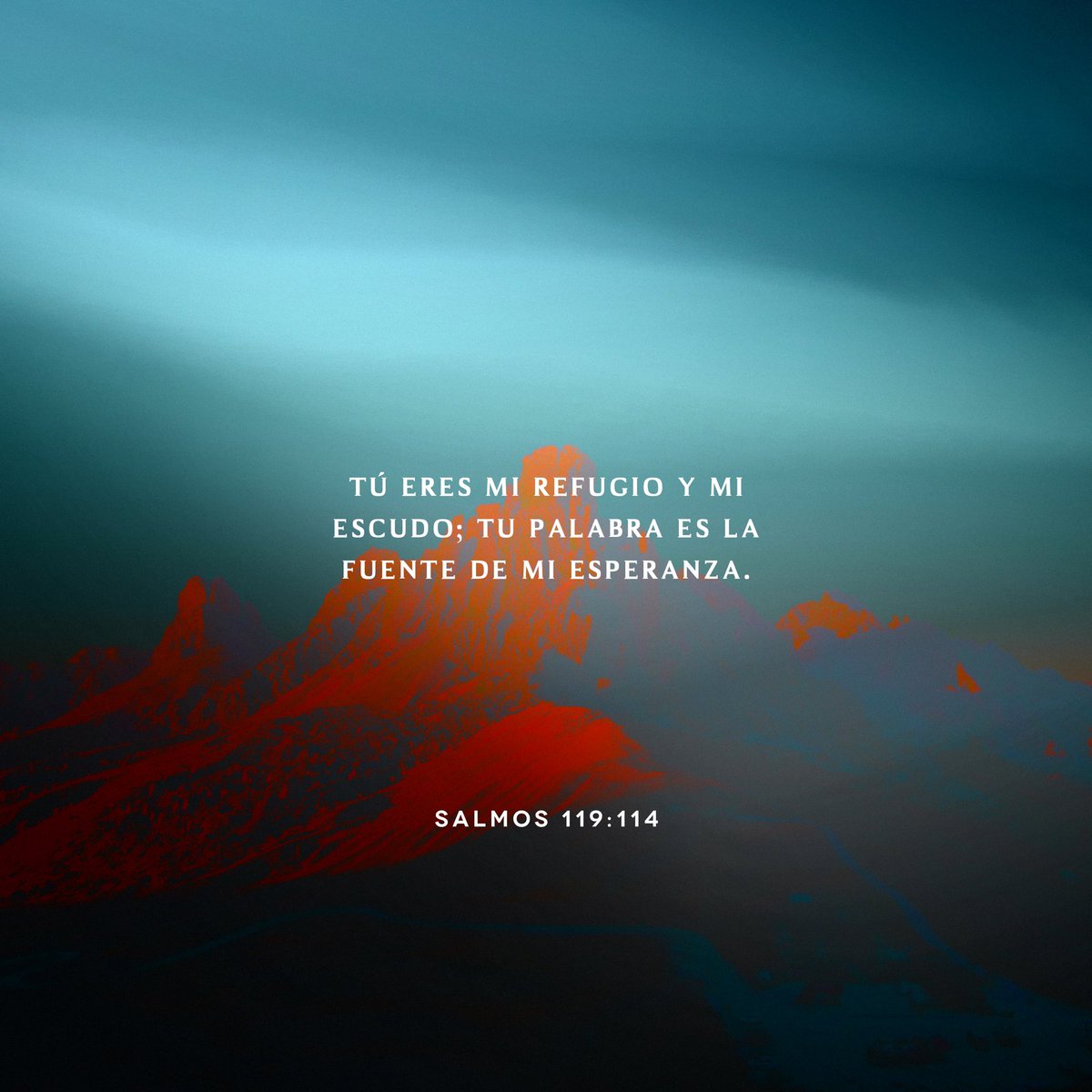 MarcoBarrientos's tweet photo. “Tú eres mi refugio y mi escudo; tu palabra es la fuente de mi esperanza.” Salmos 119:114
#Aliento #AlientoMG https://t.co/gtY7X7jRhZ