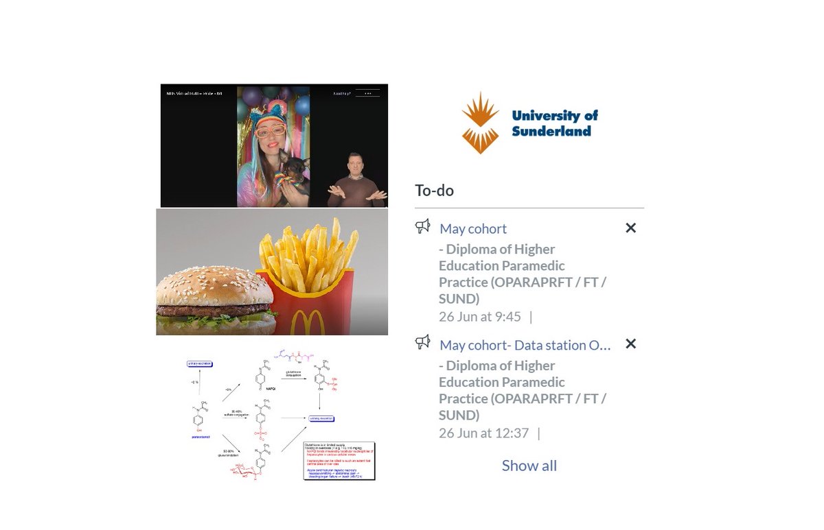andyrew1989's tweet photo. 5 x @UosParamedics @sunderlanduni #Remote #Pharmacology #Lectures β
first #NHSVirtualPride @VirtualNHSPride @NEASproud β
#cheeky @McDonaldsUK β
Nailing #Covid_19 #Lockdown #Student #Paramedic @neas_meducation @NEAmbulance #LGBTQIA #NotLeftTheFlat! π https://t.co/M4OJJ3xpuV