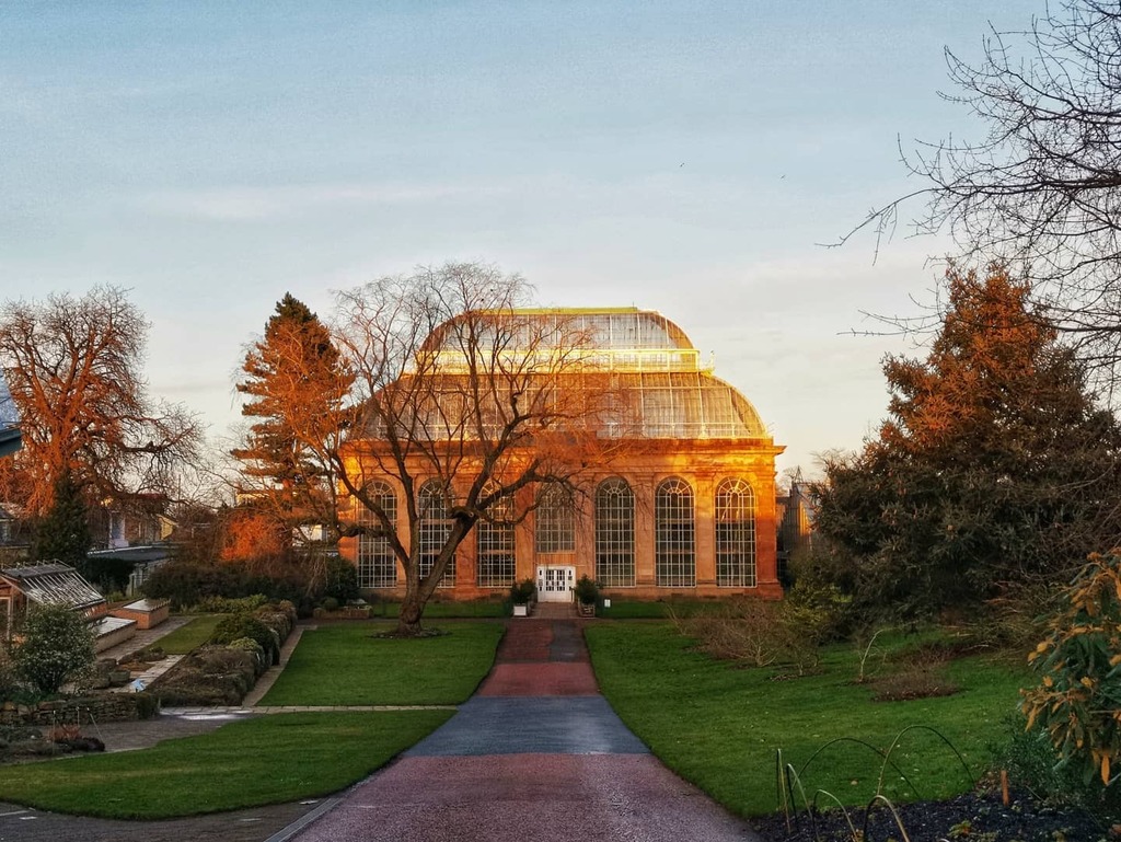 100 days ago. 
I took this photo the last time I was at the Botanics. Can't wait to visit again next week when it reopens to the public. I have missed it a lot. 
#edinburgh #thebotanics #rbgedinburgh #rbgehort #horticulture #rbge #botanicgarden #thisised… instagr.am/p/CB6HJlYDjAL/