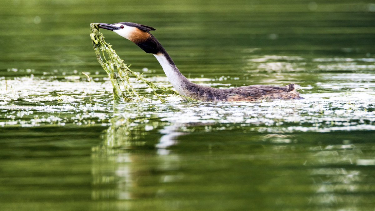 John Johnston tweet media