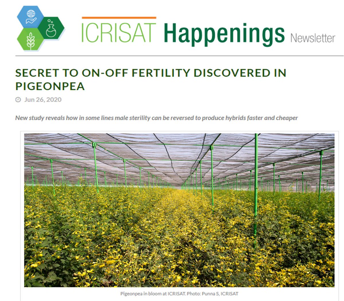 ArindamGhatak10's tweet image. Magic of #pollendevelopment: Unravelling molecular mechanism using #multiomics approach in #pigeonpea for developing two-line hybrid system to support breeding. Thank you @rajvarshney @lekha_padmaram @Anuchitikineni @palak3129 @WeckwerthWolf for this wonderful collaboration.