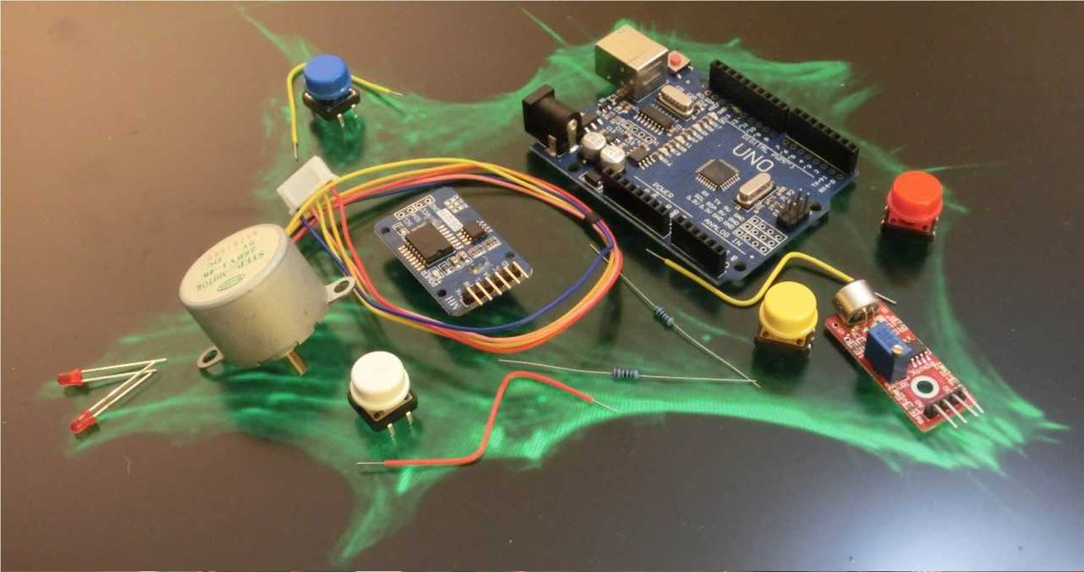 Katja Zieske tweet media