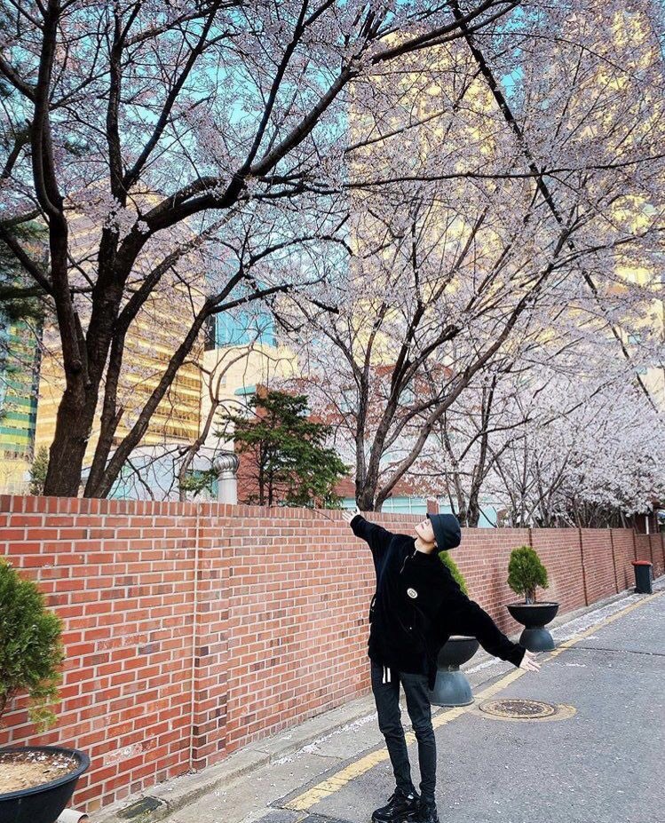 tiny baby yangyang - a thread
