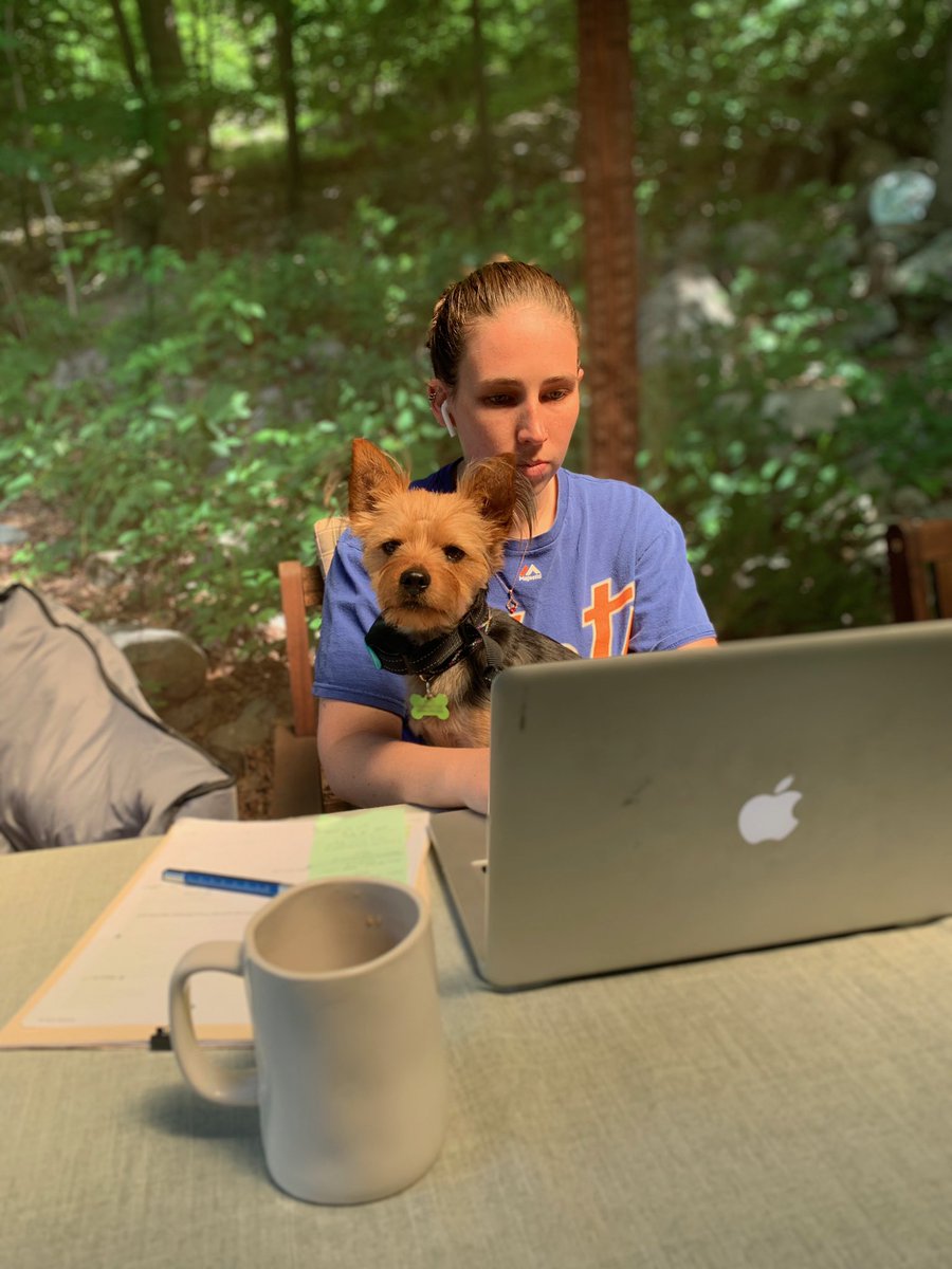 TTPMPets's tweet photo. Happy #NationalTakeYourDogToWorkDay!!! A bit easier this year since work is at home!! 🏡❤️ https://t.co/IUUdg7hMkG
