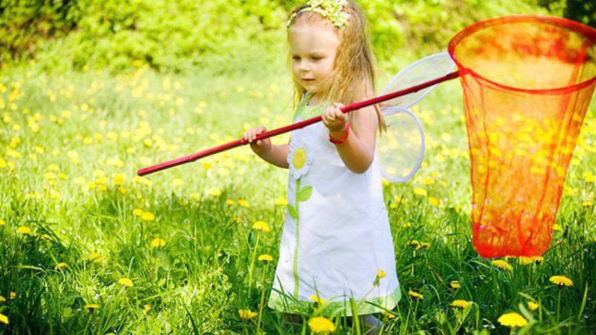 ловить бабочек сачком. ловить сачком. дети ловят бабочек сачком. ловить сачком. ловля бабочек.