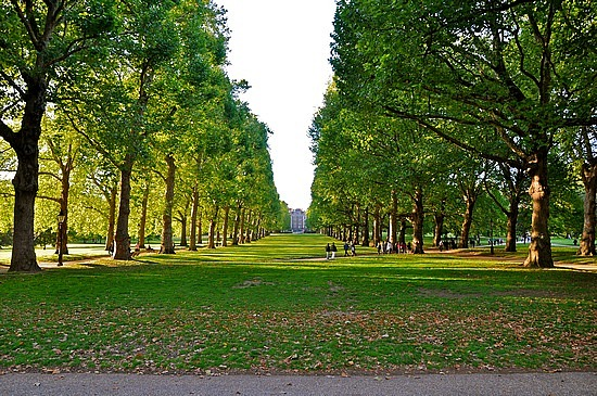 Green Park, London:The west half of the park is a nice mix of shady spots and little clearings. The Broad Walk (below) is pretty but not exactly original. The eastern half of the park is a bit crowded with all the people renting deckchairs and the station entrance. Overall ok.