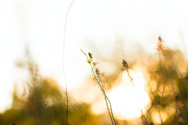 To be read! "From a culture of evaluation to a culture of dialogue" - An article by our new colleague Doha Moghrabi on her experience of an "evaluation" meeting. percolab.com/en/going-from-… #futureofwork #Goinghorizontal #cercle
<a href="/sam5/">Samantha SLADE</a> <a href="/percolabpaul/">Paul Messer</a> <a href="/RiaBaeck/">RiaBaeck</a> <a href="/nadjoua/">Nadine Jouanen</a> <a href="/fanzyl_/">Fanny Monod-Mitrev</a>