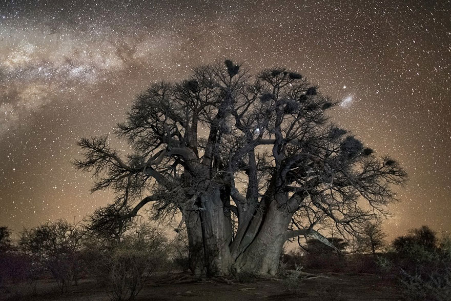Over 14 years San Francisco photographer Beth Moon documented the oldest, largest, and rarest trees in the world #womensart