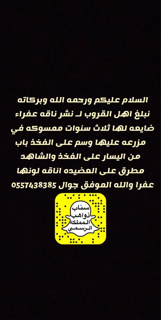 1398sehli's tweet photo. من هيله الناقه الوضحى لها ثلاث سنوات  وسمها ع الفخذ الباب من يسار والشاهد مطرق ع العضيده ذكرت في قروبات ذواهب المملكه https://t.co/9nyFoxLWOF