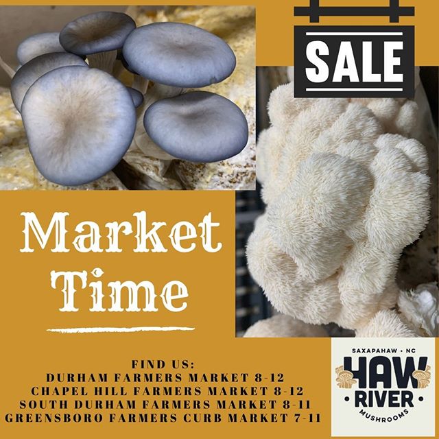 These mushrooms are other worldly y'all. Look at those colors and textures- they are amazing. Take advantage of our sale of 2 for $8 on blue oysters and lions mane- you can mix and match too! 
We will have other varieties and mixes too, at all 4 of our Saturday markets- so come o