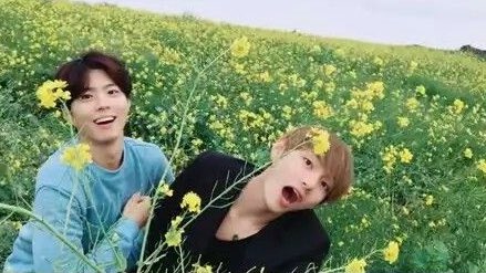 Taehyung and park bo gum