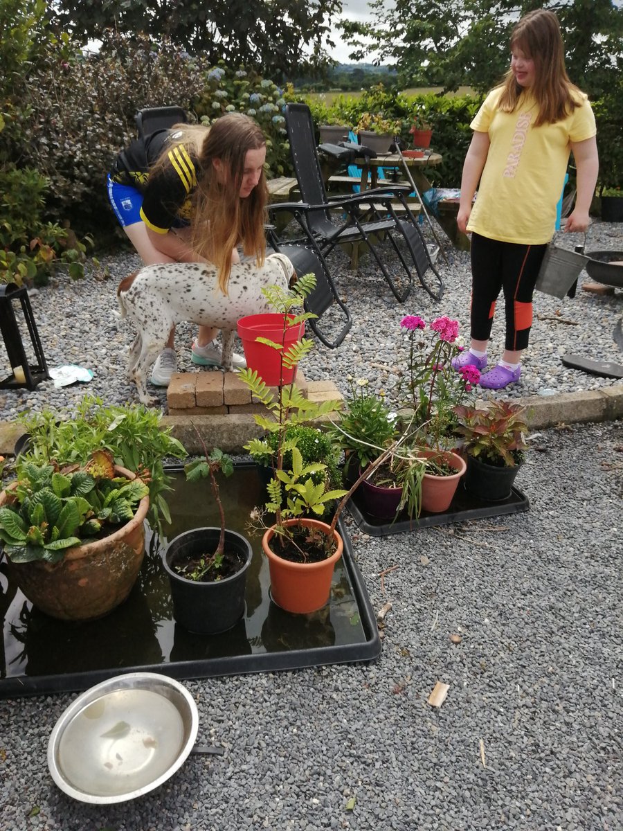 BowdrenAileen's tweet photo. @GreenSchoolsIre #ConserveWater #gscompetition Moya, 1st Yr, has trays under the plants to conserve water, and dog dishes left to collect rainwater https://t.co/HQ16EPq5al