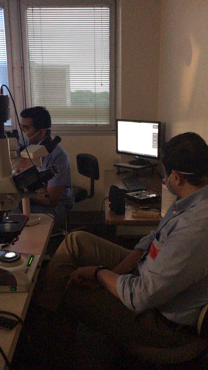 UTHSC Pathology Residency tweet media