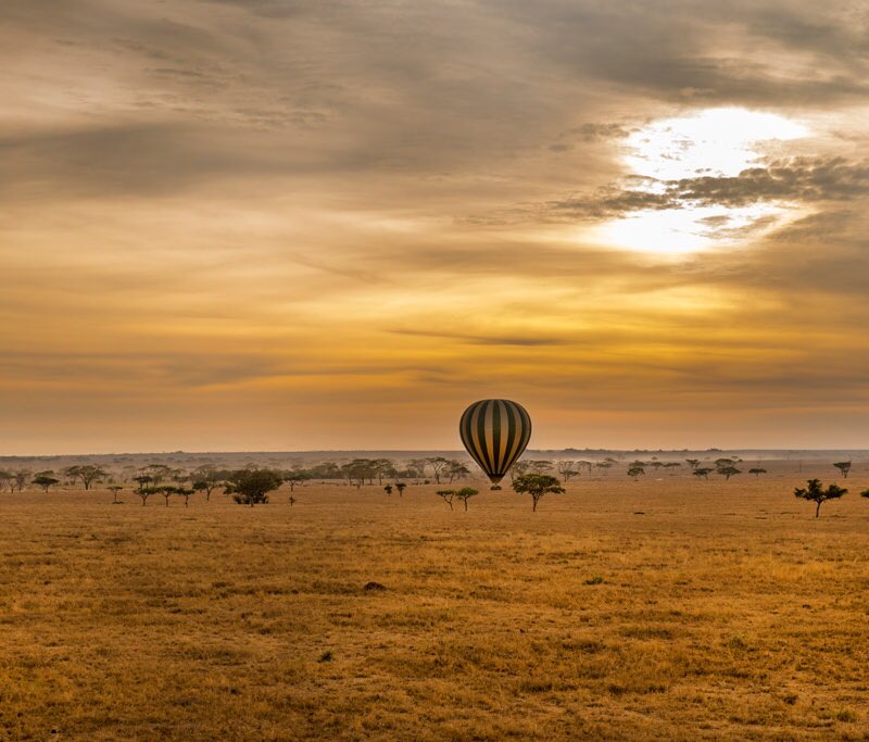 CuriousOnTz's tweet photo. You say #gobacktoafrica, we see this. Ofcourse I would love to go back to #Tanzania. #curiousontanzania
#tanzaniaunforgetable #serengetinationalpark #travelafrica #birthrightafrica https://t.co/ZMKYnUSm7L