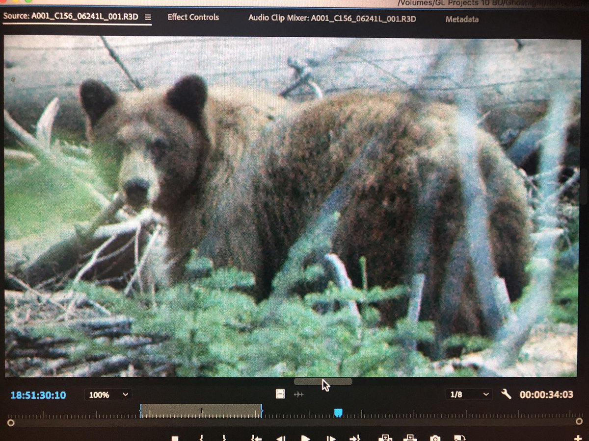 Shot by <a href="/JCodeglia/">James Codeglia</a>. <a href="/RED_Cinema/">RED Digital Cinema</a> #8K <a href="/YosemiteNPS/">Yosemite National Park</a>