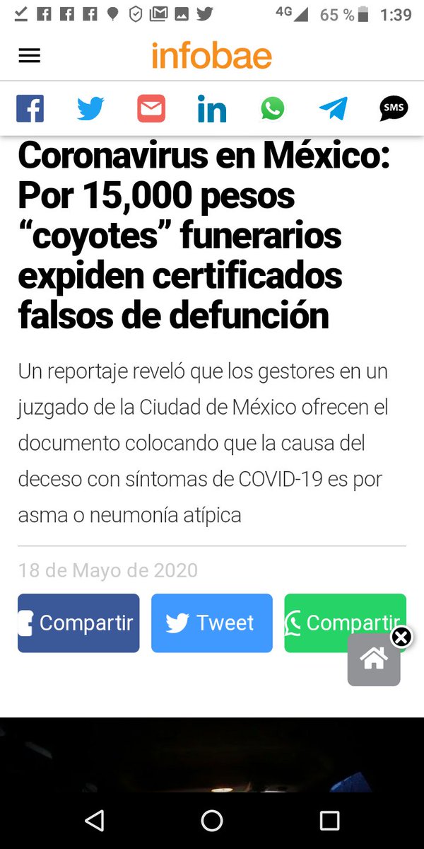Fer01660471's tweet photo. @AgriaCara @AToDi24 @FrankieVillaMx https://t.co/KdwVRAGLQR