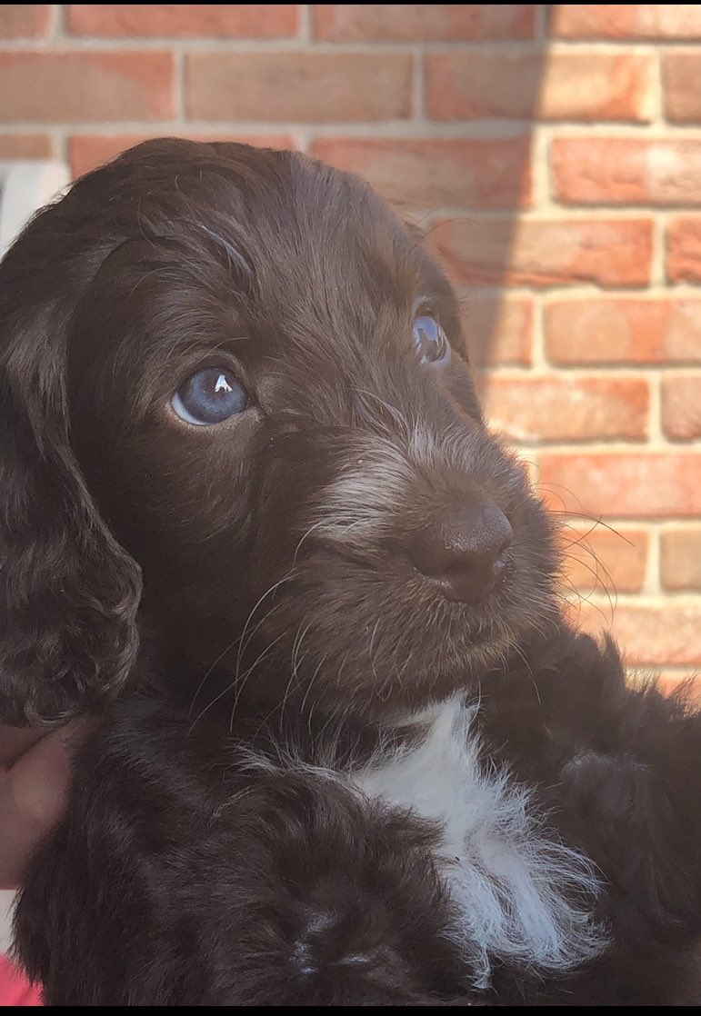 Look into my eyes, look into my eyes, the eyes, the eyes, not around the eyes, don't look around my eyes, look into my eyes, you're under.