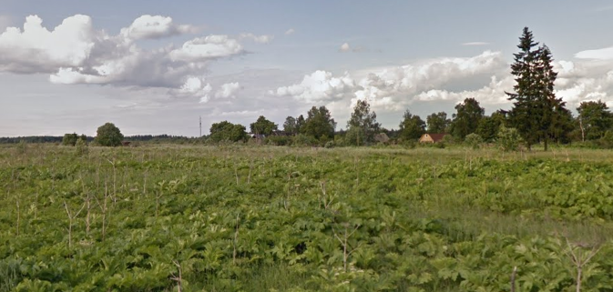 simonovkvramble's tweet photo. #Russia #Leningrad Oblast #Volosovsky District, village #Prologs. View of the village / #Россия #Ленинградская Область #Волосовский Район, деревня #Прологи. Вид на деревню https://t.co/JcorJ99eOt