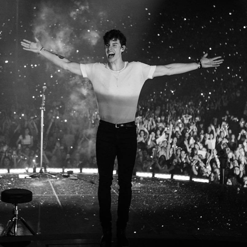 Shawn Mendes The Tour - Montpellier ✦