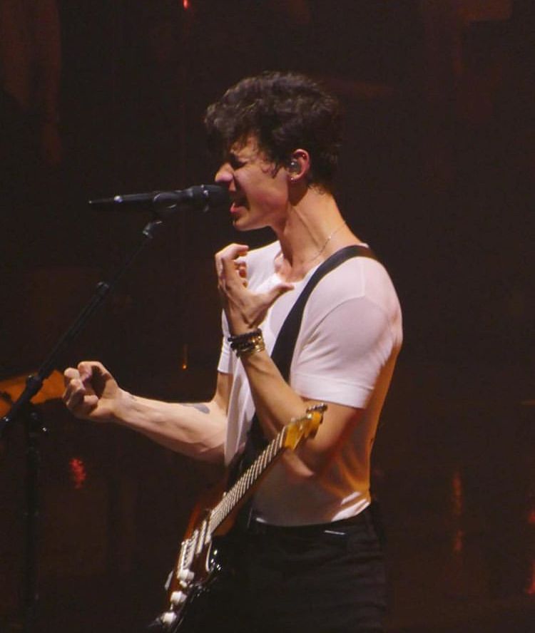 Shawn Mendes The Tour - Montpellier ✦