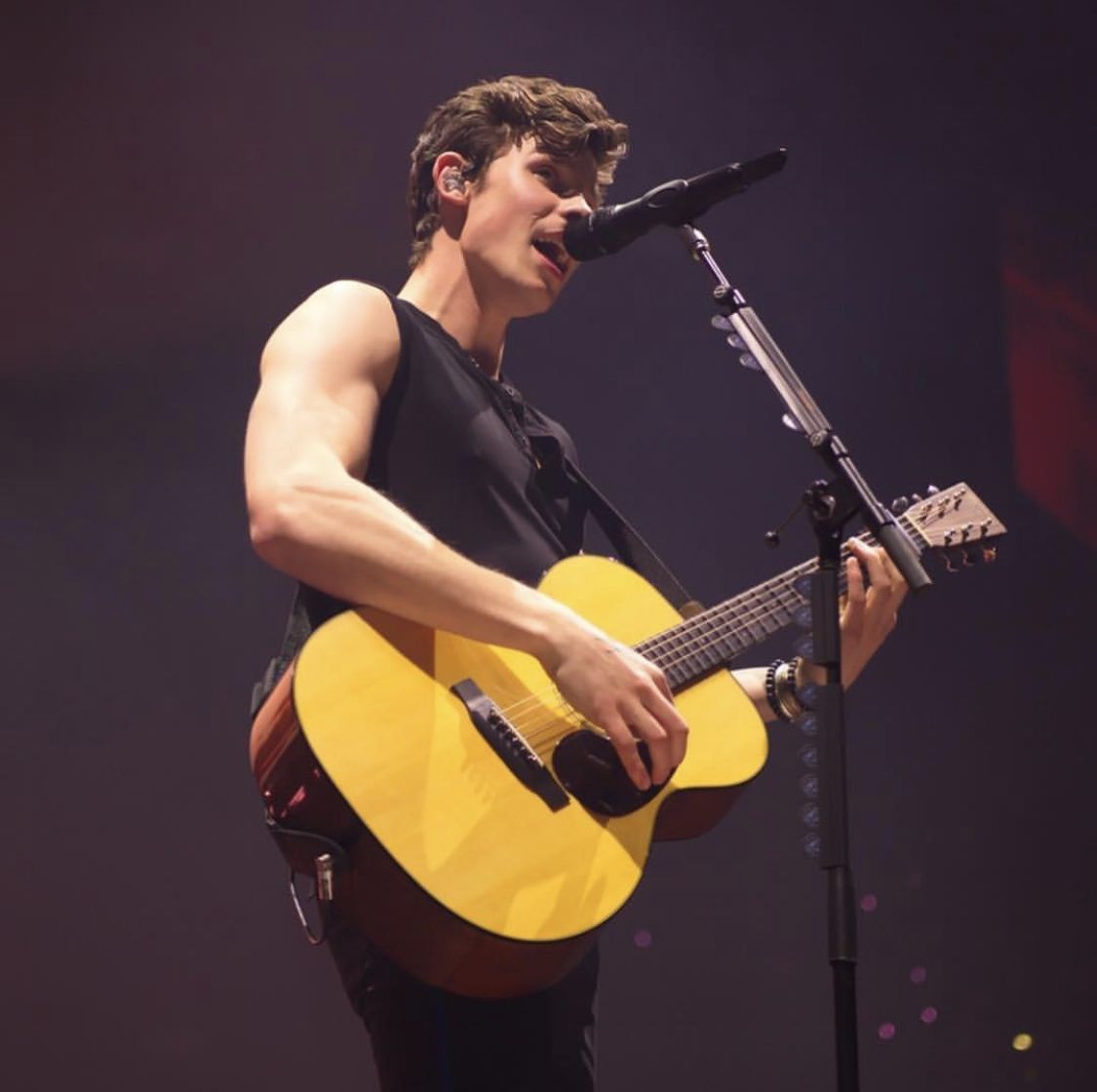 Shawn Mendes The Tour - Zúrich ✦