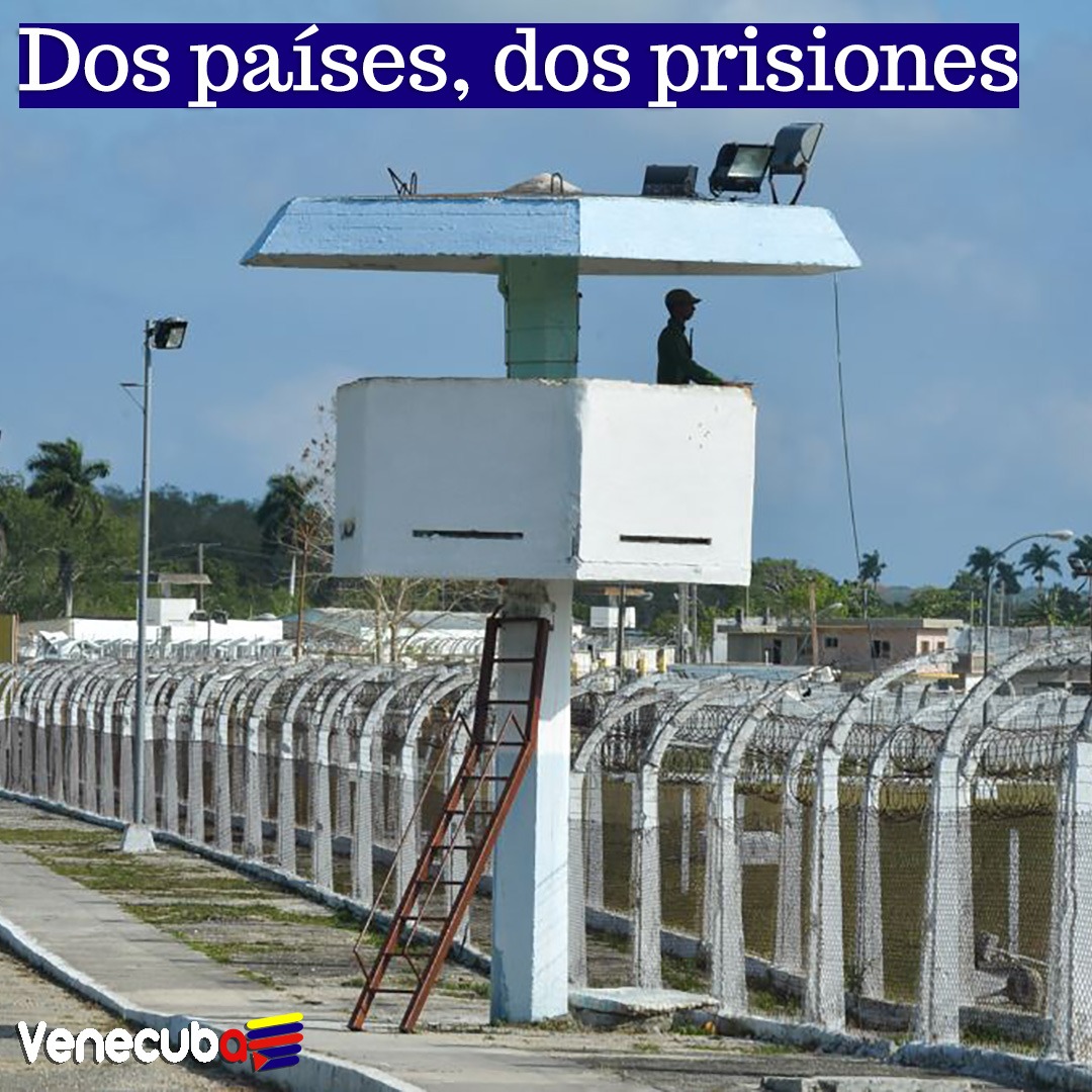 venecuba's tweet photo. Ni Venezuela ni Cuba reconocen la existencia de presos políticos, insisten en que lo que hay son “políticos presos” https://t.co/25suPRE215 

👉 "Dos países, dos prisiones" trabajo disponible en #Venecuba https://t.co/QQomn9sjCl
