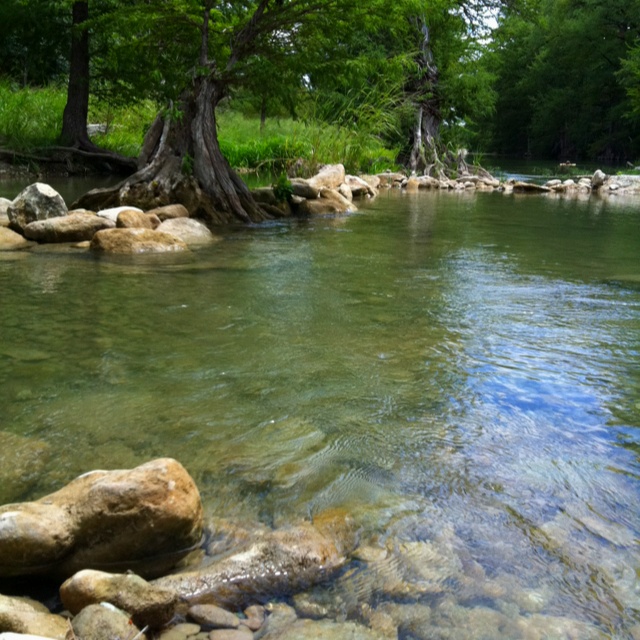 GBRTrust's tweet photo. Thanks to our donors who have continuously supported our work. Your commitment to help preserve the heritage of the Guadalupe watershed is important. We're all personally &amp; professionally affected by this unprecedented pandemic crisis, so thank you again for your support! https://t.co/qMswKGm28L