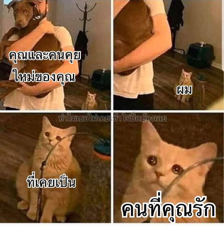 jinbie tweet media