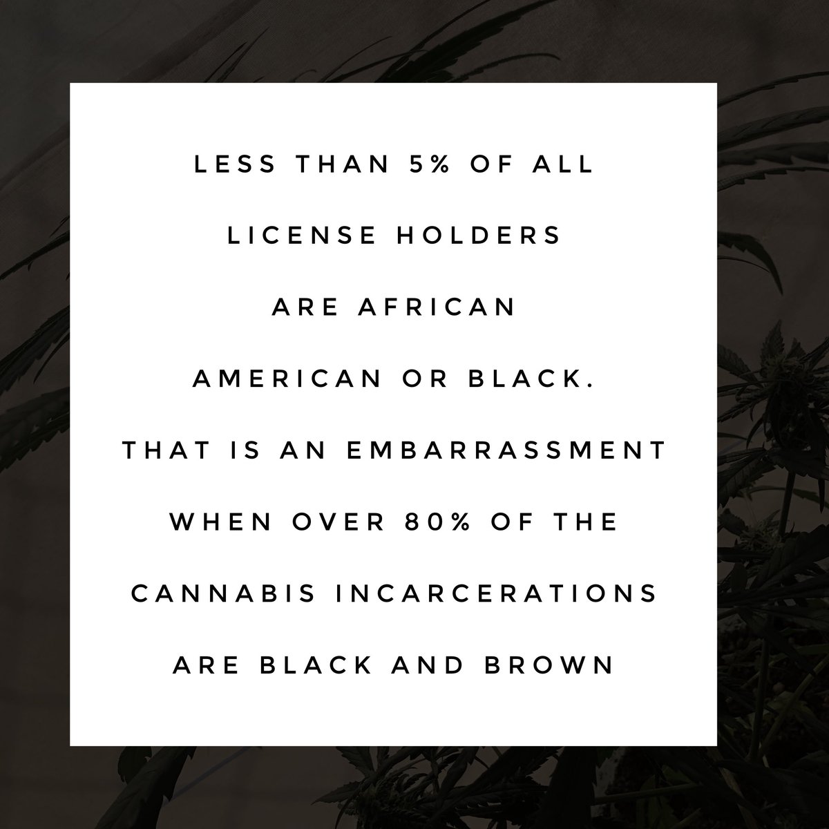 From our interview with Michael Brown of Eternel Hemp. 

RT if you think the cannabis industry needs to be more inclusive.

#cannabiscommunity #cannabisprisoner #cannabisbusiness #cannabisindustry