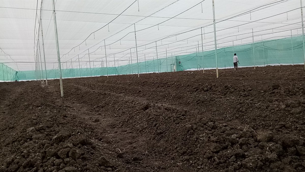 AgriInnovative's tweet photo. Wire type net house https://t.co/PV1FlIpdEv