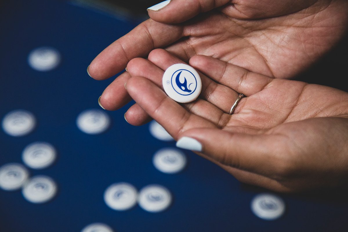 Falcanna (@falcanna_wa) on Twitter photo 