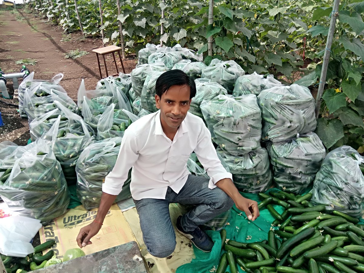 AgriInnovative's tweet photo. Wire type net house https://t.co/PV1FlIpdEv