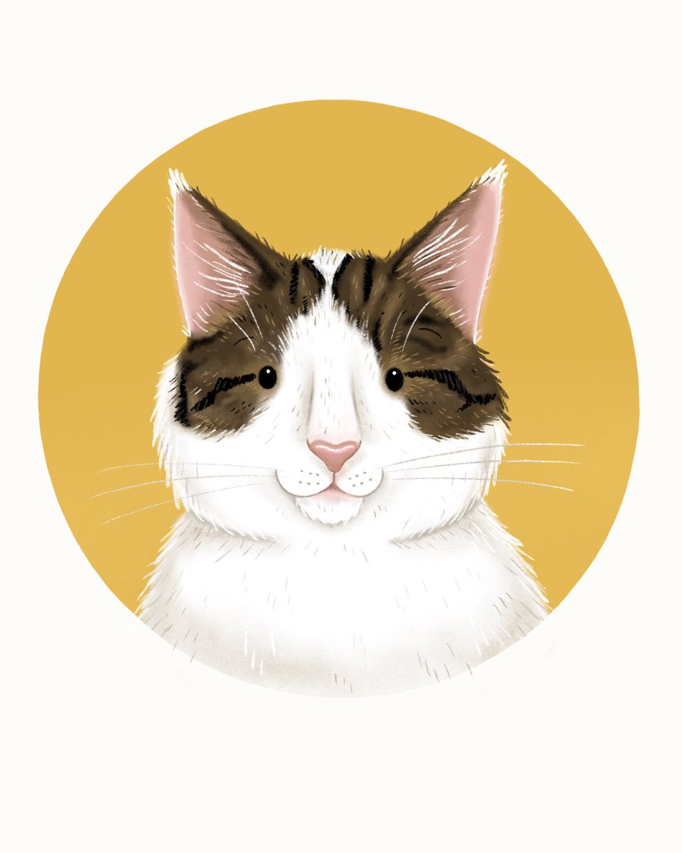 Lucy_Boden's tweet photo. The beautiful Bella! This portrait was a joy to do! Bella is such a beautiful kitty 😍 🐱 https://t.co/QnxwC8ee2g