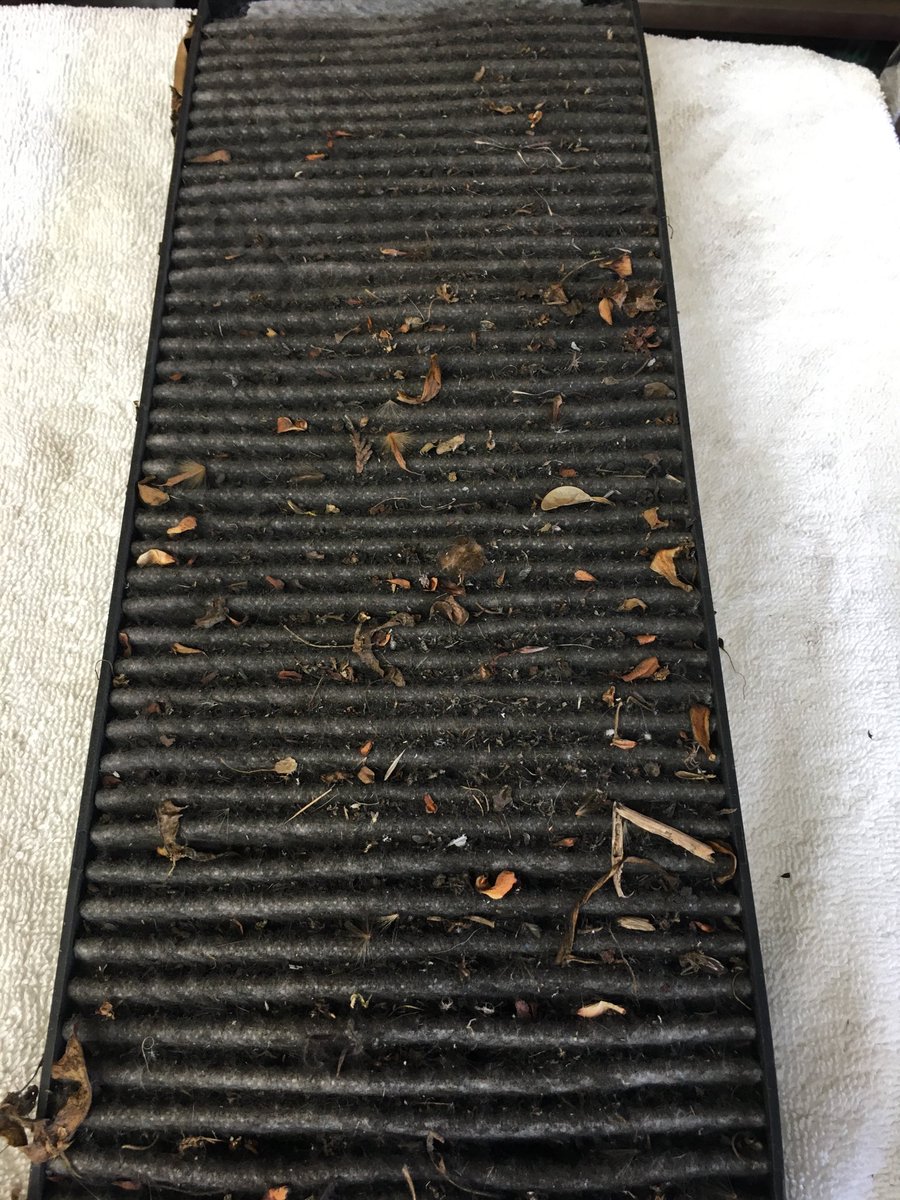 genuinecars's tweet image. Welcome in fresh air it’s been a while #pollenfilter