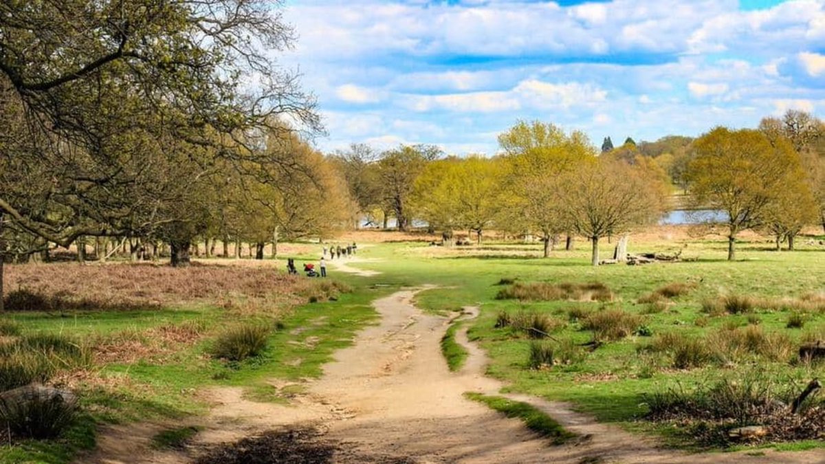 Richmond Park, London:Absolutely humongous but so so beautiful. Really more of a nature reserve than a park - has herds of deer and the pristine Isabella Plantation. A fantastic place to cycle. Sort of hard to get to but absolutely worth the trip.