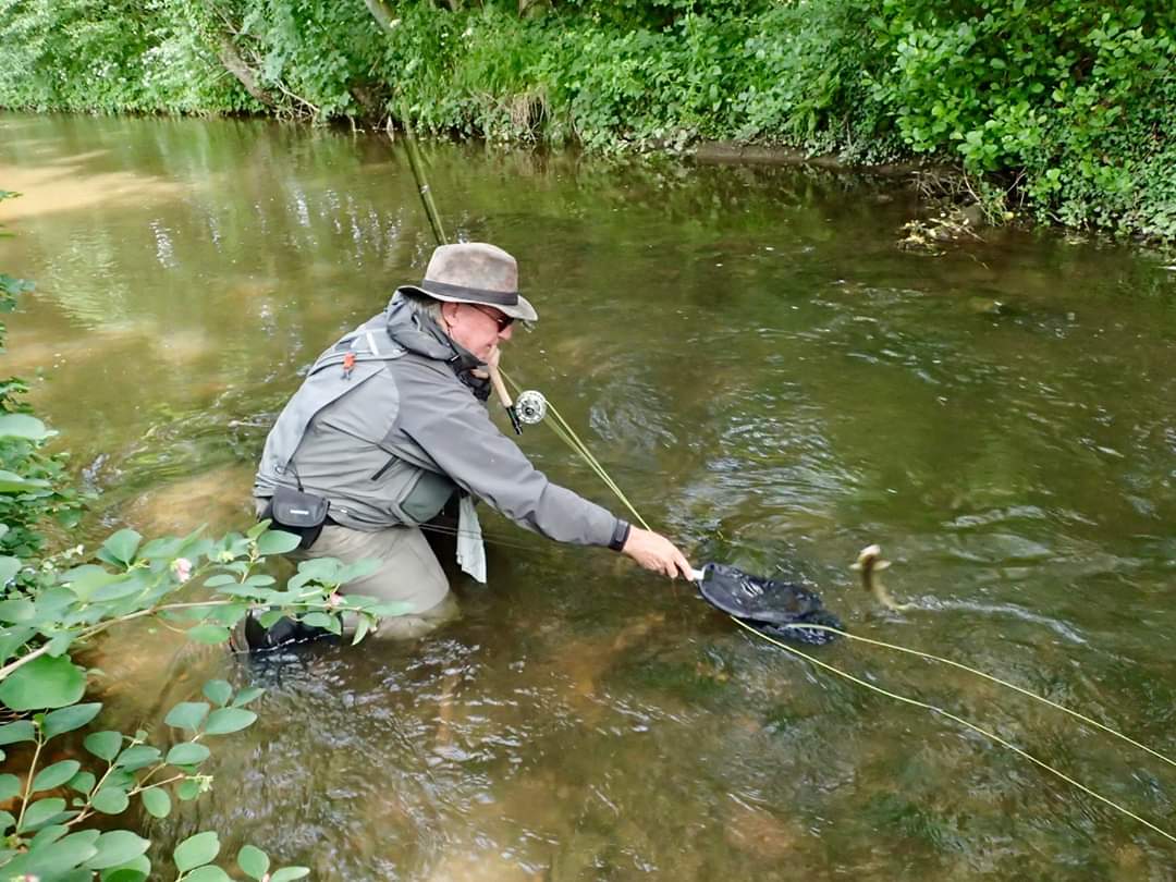 Pickering Fishery Association tweet media