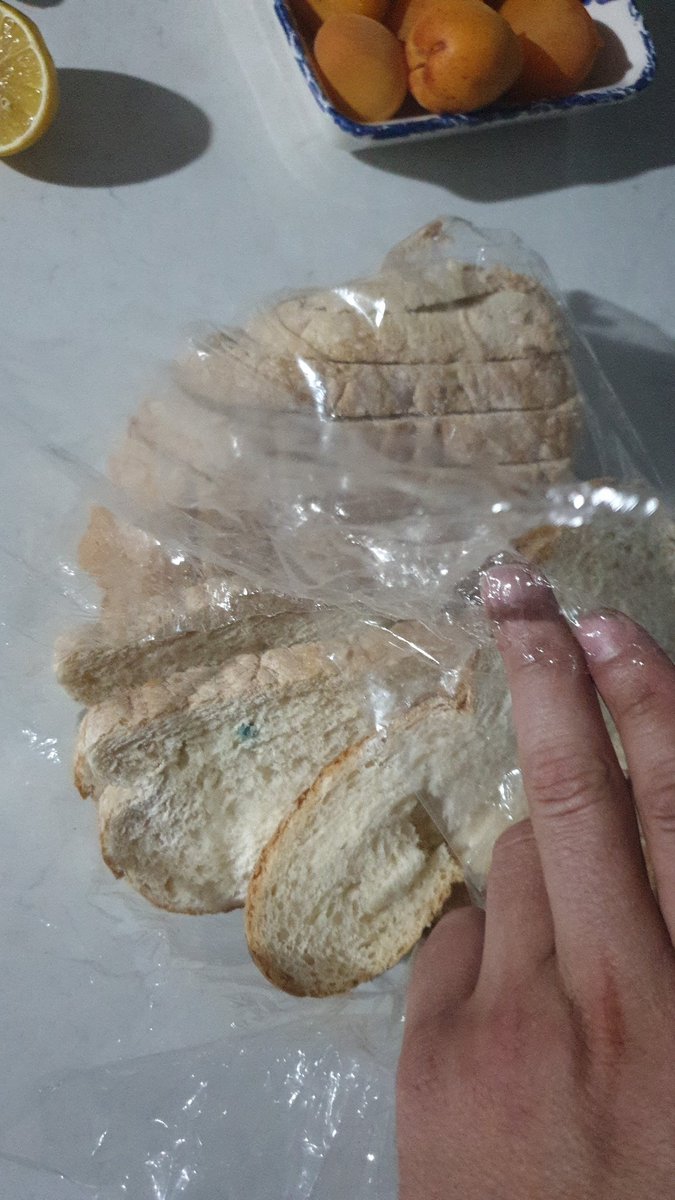 #migros <a href="/Migros_Turkiye/">Migros Türkiye</a> <a href="/migros/">Migros</a> saat 21 civarında seferihisar yolu üzerindeki migrostan aldığımız ekmeği açtığımızda küflü çıktı bunun cevabını alayım sizden fişi mevcut.. #KidemimeDokunma #yks2020