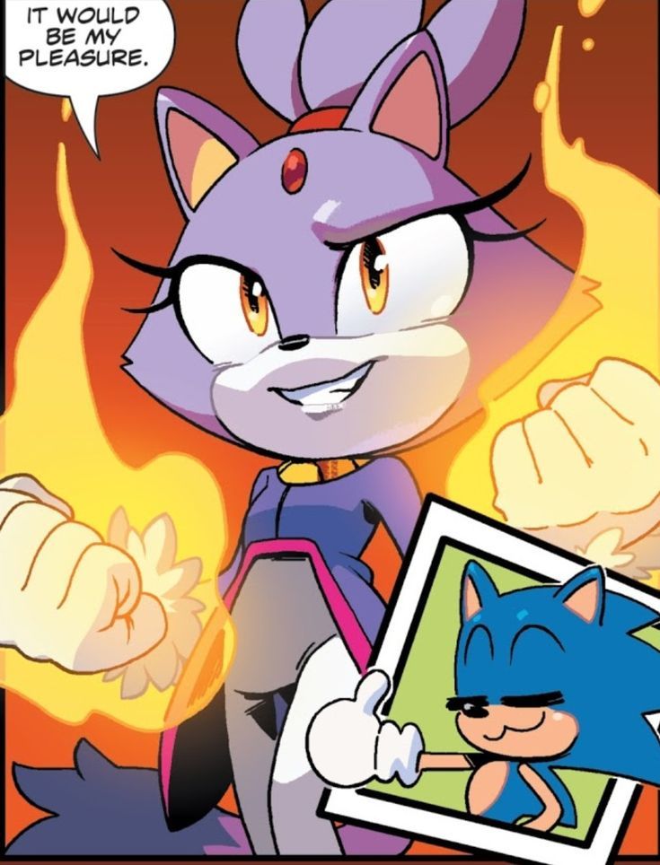 Ashley💖|TheBatFamily 🦇 on Twitter: "I got Blaze The Cat! One of my faves.  Also yes! Check out IDWs Sonic The Hedgehog comic. It's surprisingly one of  the most emotional and epic stories