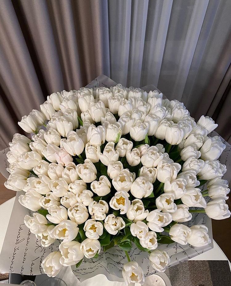 mrymdreams's tweet photo. White tulips >>> https://t.co/1Y7xZfxASw